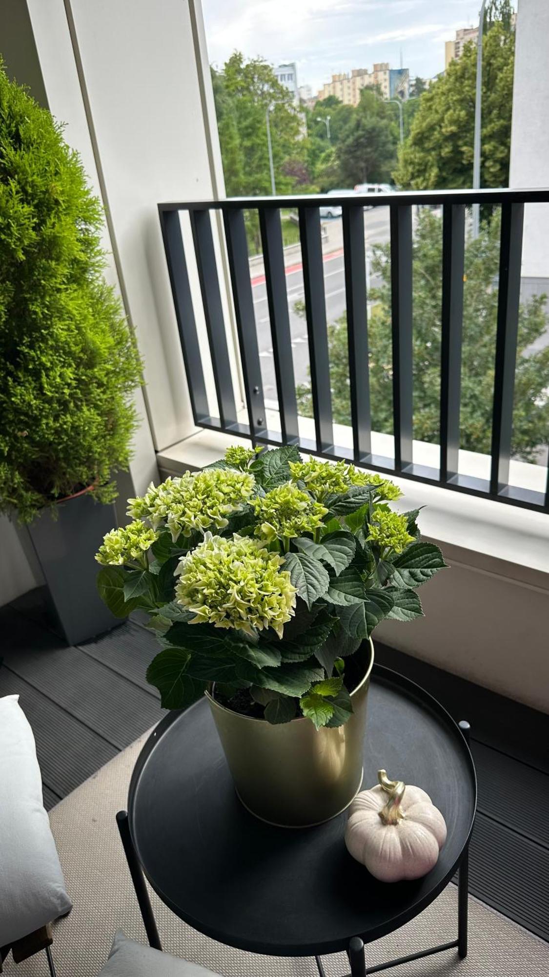 Apartment Pastelowa Portova Gdynia